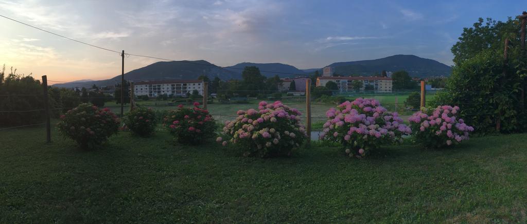 Apartment Nova Gorica - Nocitve Falco Exterior foto